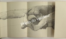 Paléontologie: Delforterie