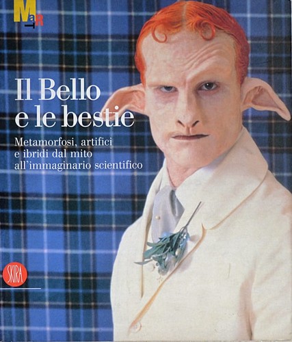 Vergine verzotti - vergine,