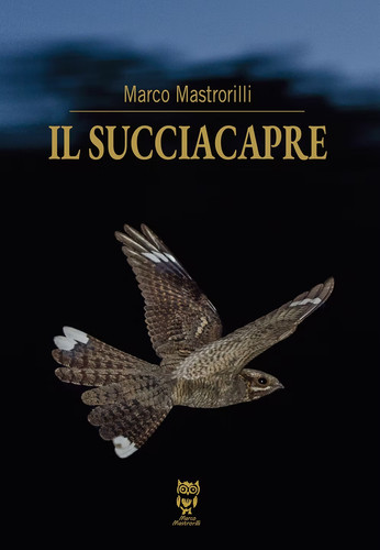 Succiacapre nuovo marco - il,