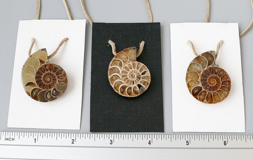 Ciondolo fossil madagascar - ciondolo,