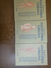 Trattato anatomia umana - anatomia,