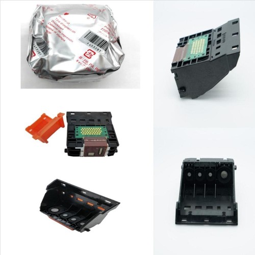 Qy6 0042 testina - testina, di