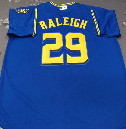 Maglia cal raleigh 29 - maglia,