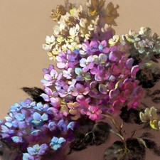 Quadro Fiori N 4 Stampa su Mdf