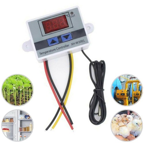 Incubatrice digitale 110v - incubatrice,