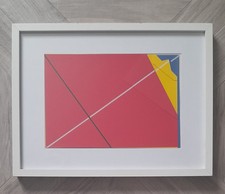 Grazia Varisco - serigrafia a