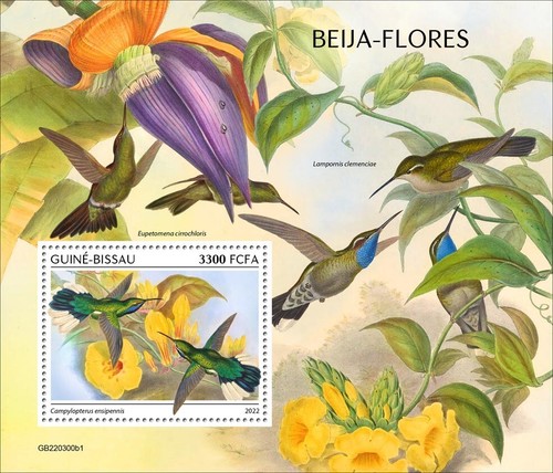 Francobolli colibrì colibri - colibrì,