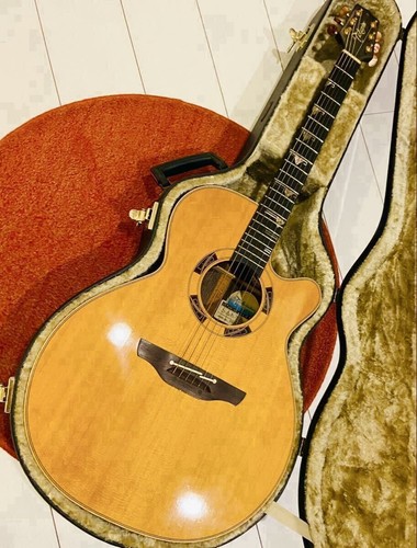 Chitarra elettrica acustica