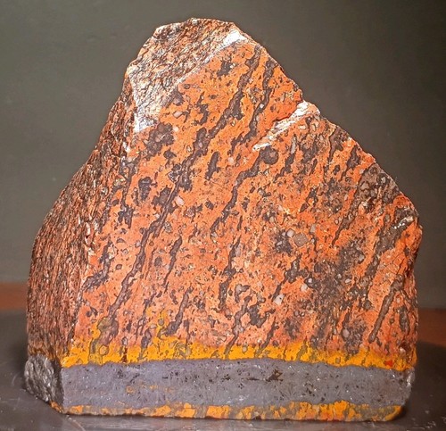 Shepard fire specular - shepard's,