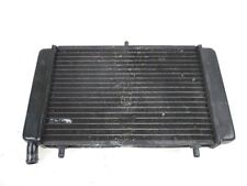 RADIATORE APRILIA RS 125 2003 - 2005 AP8102704 RADIATOR