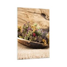 Quadro su Vetro 70x100cm Erbe