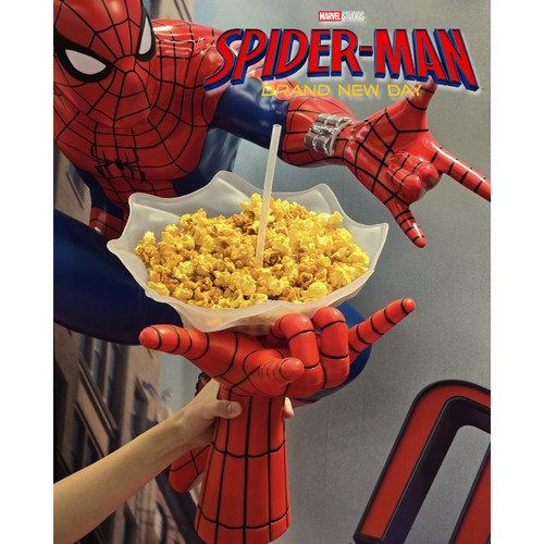 Spider man brand new - new, web