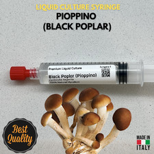 Coltura Liquida Pioppino 10ml