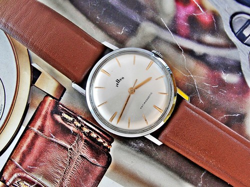 Very nice tellus cortebert - very,