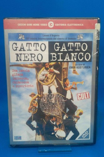 Dvd gatto nero - dvd, nero,
