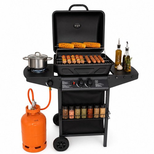 Barbecue gas pietra lavica 2 - a,
