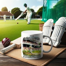 Tazza TOSAERBA PIUTTOSTO WATCHING CRICKET - Ideale per battute d'ufficio - Spedizione veloce