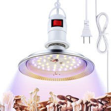 1 Confezione Luce LED per