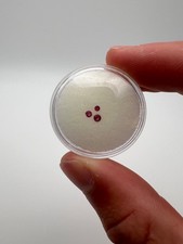 Pacco bixbite berillo rosso