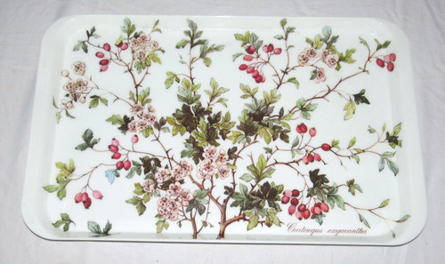 Villeroy boch melamine tray - &,