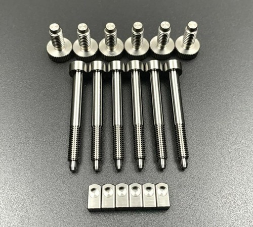 Floyd rose titanio doppio - rose,