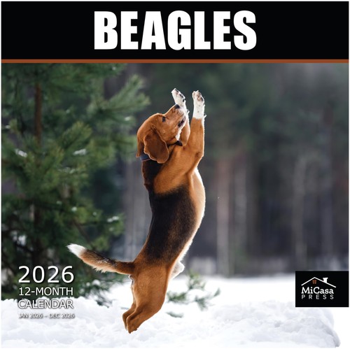 Beagle 2026 calendario - 2026,
