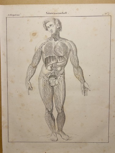 Litografia antica 1833 - litografia,