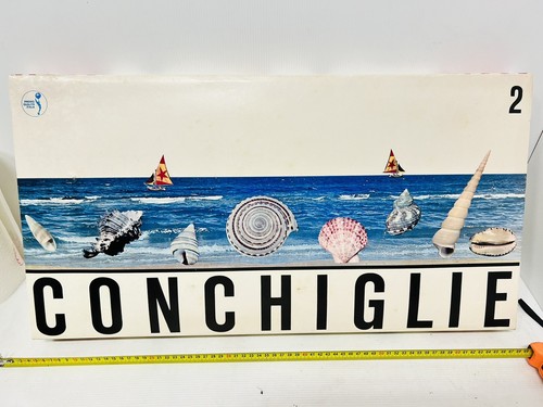 Collezione conchiglie - collezione, conchiglie,in