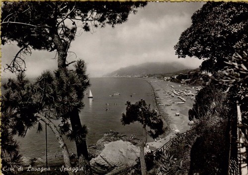 140230 cavi lavagna - cavi,