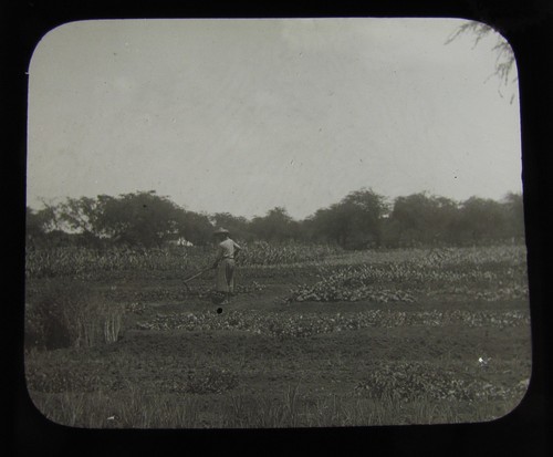 Glass magic lantern slide man - magic,