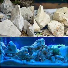 svendo pesci ciclidi , roccie e se volete anche una vasca quasi regalata