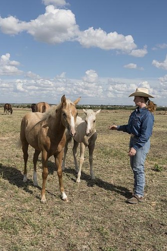 Venus texas michelle cannon - texas,