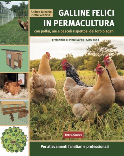 Galline felici - , in
