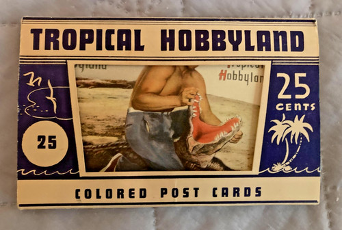 Vintage c1960 tropical - vintage,