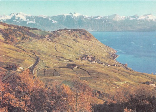 Carte postale 10cmx15cm suisse - carte,