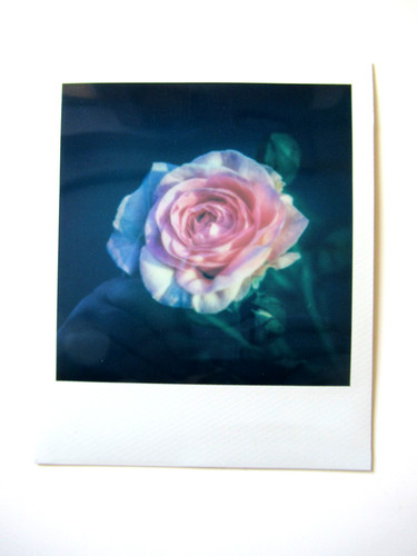 Araki polaroid originale - araki:,