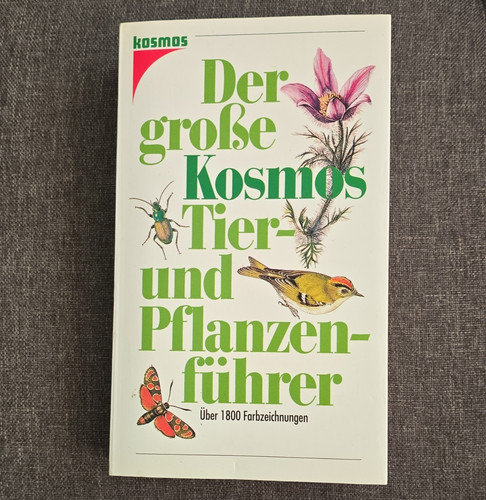 Kosmos der große - kosmos,