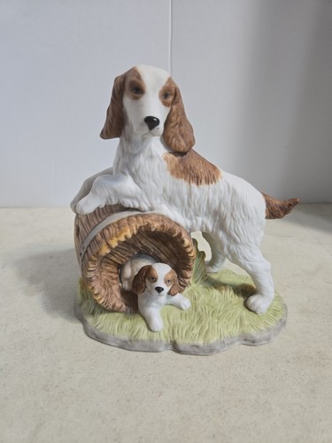 Springer spaniel famiglia cane - springer,