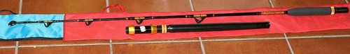 Canna pesca lineaeffe - canna,