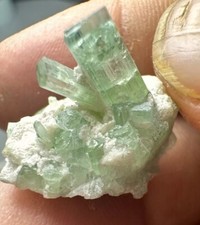 19.5ctBellissimo. Campione