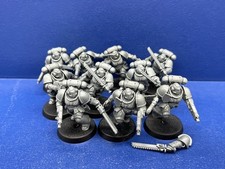 10 Primaris Assault