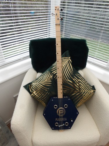 String homemade fretted - 3,