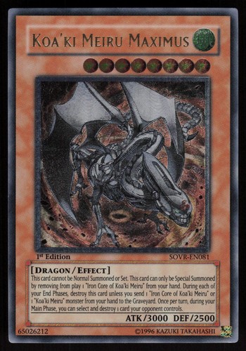 Koa meiru maximus - koa'ki,