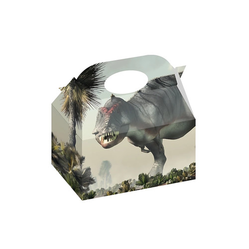 Scatole regalo dinosauri - scatole, in