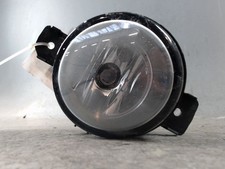 🇮🇹 FENDINEBBIA ANTERIORE