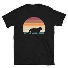 Retro Sunset Kitten Feline Pet
