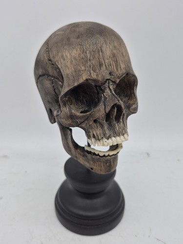 Teschio legno memento mori - teschio,