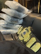 cintura winged eagle wrestling