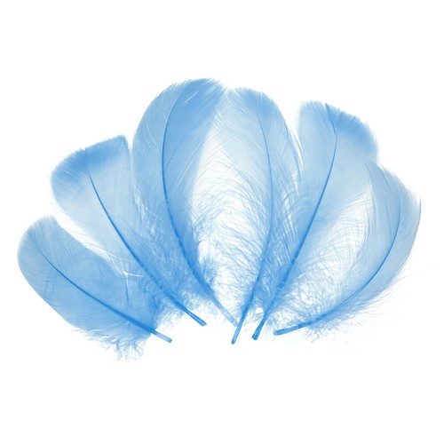 300 pcs plumes artisanales - 300,