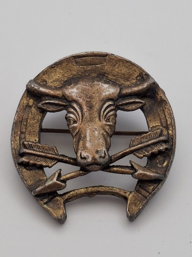 Brass bull brooch steer - bull,